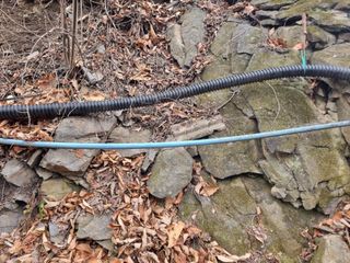 김용대님의 기타작물 · 영농일지 작성글 사진