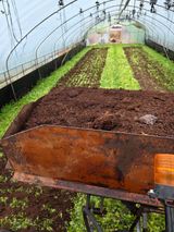 팜모닝 오이·영농일지 게시글 이미지