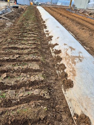 곰새끼님의 벼 · 영농일지 작성글 사진