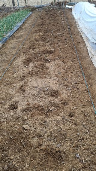 김지철님의 기타작물 · 영농일지 작성글 사진