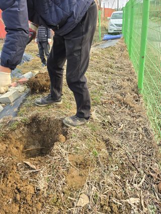 비타민님의 기타작물 · 영농일지 작성글 사진