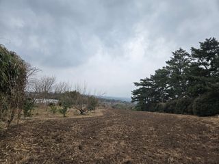 Captain김상곤님의 호박 · 영농일지 작성글 사진