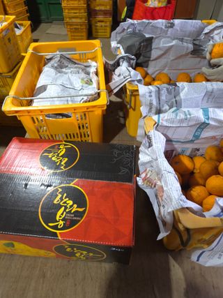 산방자연농원님의 귤 · 영농일지 작성글 사진