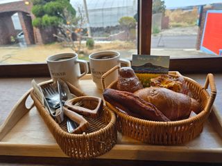 Captain김상곤님의 귤 · 영농일지 작성글 사진