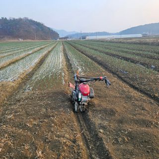 권정식님의 기타작물 · 영농일지 작성글 사진