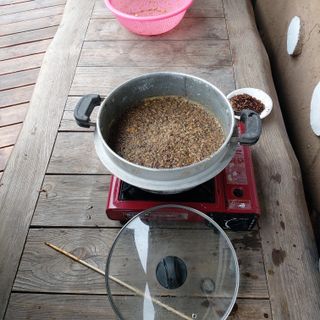 가로수님의 마늘 · 영농일지 작성글 사진