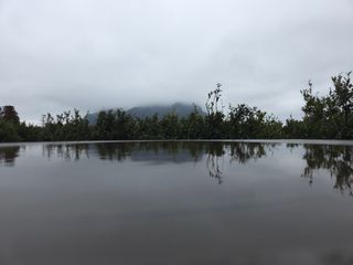 산방자연농원님의 귤 · 영농일지 작성글 사진