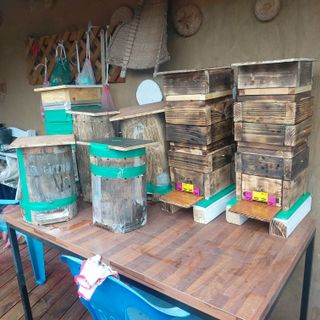 가로수님의 마늘 · 영농일지 작성글 사진