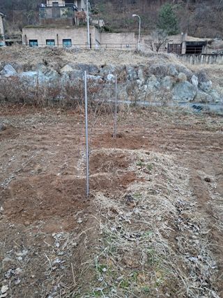 구강회님의 사과 · 영농일지 작성글 사진