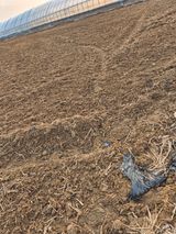 곰새끼님의 작성글 사진