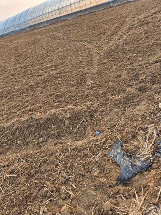 곰새끼님의 벼 · 영농일지 작성글 사진