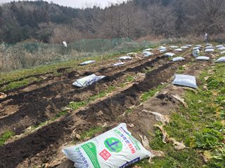 김대기님의 감자 · 영농일지 작성글 사진