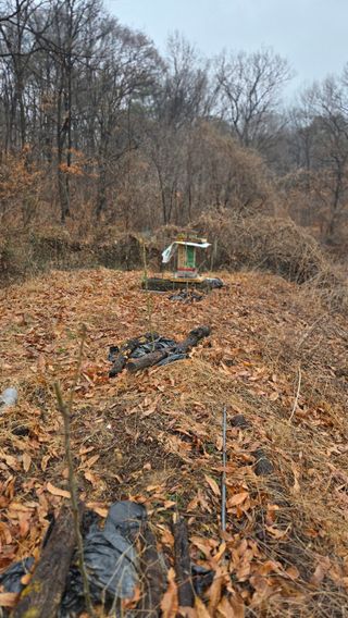 박정희 님의 기타작물 · 영농일지 작성글 사진