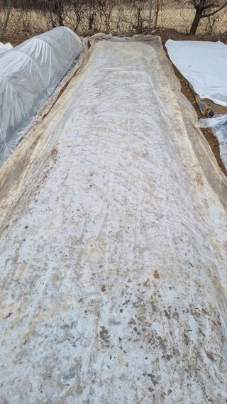 김지철님의 기타작물 · 영농일지 작성글 사진