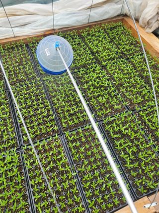 이상욱님의 고추 · 영농일지 작성글 사진