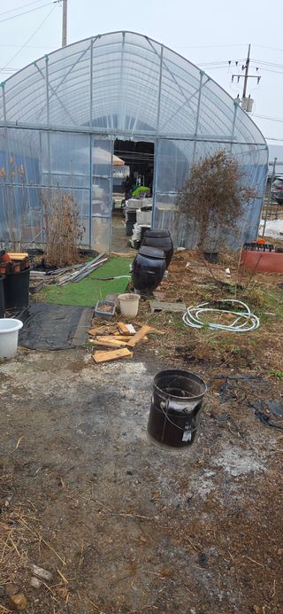 김성필님의 기타작물 · 영농일지 작성글 사진