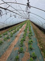 박종석님의 작성글 사진