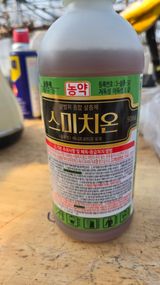 팜모닝 포도·영농일지 게시글 이미지