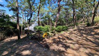 최강K님의 기타작물 · 영농일지 작성글 사진