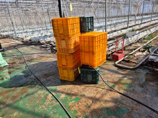 늘햇살팜 님의 기타작물 · 영농일지 작성글 사진