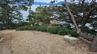 최강K님의 기타작물 · 영농일지 작성글 사진