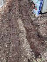 팜모닝 기타작물·영농일지 게시글 이미지