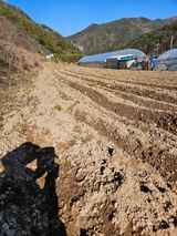 팜모닝 기타작물·영농일지 게시글 이미지