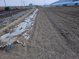 부추사랑님의 기타작물 · 영농일지 작성글 사진