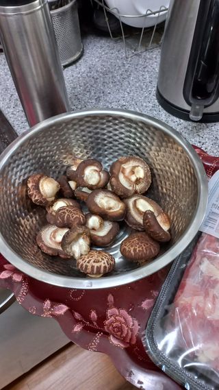 초보 구찌뽕님의 버섯 · 영농일지 작성글 사진