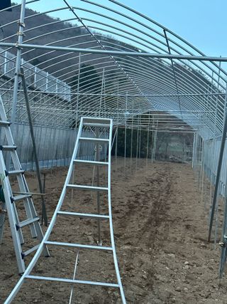 이익수님의 사과 · 영농일지 작성글 사진