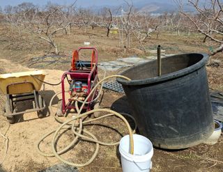 철남 김희곤님의 사과 · 영농일지 작성글 사진