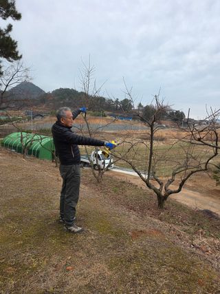 최강K님의 기타작물 · 영농일지 작성글 사진