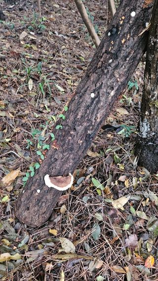 최강K님의 작성글 사진