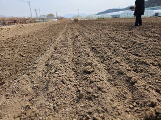 부추사랑님의 기타작물 · 영농일지 작성글 사진