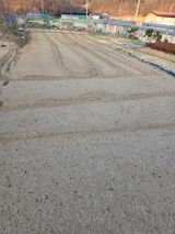 아리랑님의 작성글 사진