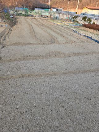 아리랑님의 벼 · 영농일지 작성글 사진