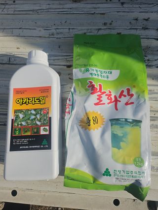 조영민님의 배 · 영농일지 작성글 사진