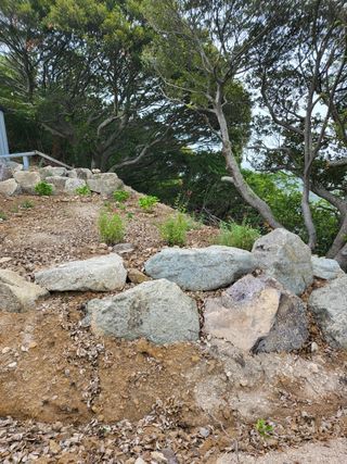 최강K님의 기타작물 · 영농일지 작성글 사진