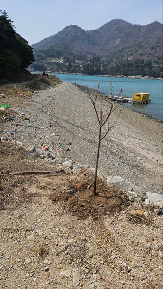 최강K님의 기타작물 · 영농일지 작성글 사진