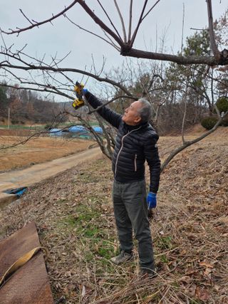 최강K님의 기타작물 · 영농일지 작성글 사진