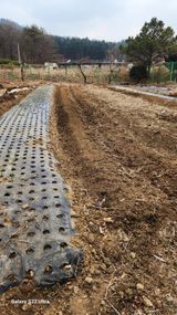 팜모닝 감자·영농일지 게시글 이미지