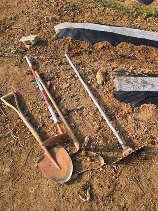 김세리님의 감자 · 영농일지 작성글 사진