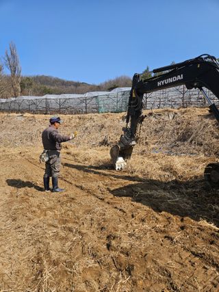 드라곤해드님의 포도 · 영농일지 작성글 사진