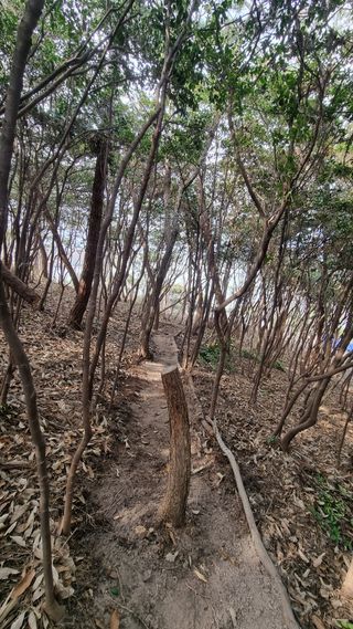 최강K님의 기타작물 · 영농일지 작성글 사진