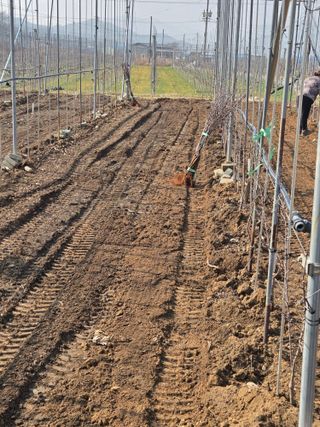 홍1237님의 기타작물 · 영농일지 작성글 사진