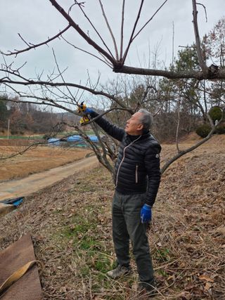최강K님의 기타작물 · 영농일지 작성글 사진
