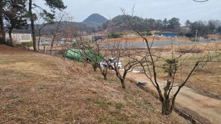 최강K님의 기타작물 · 영농일지 작성글 사진