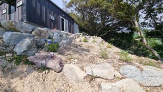 최강K님의 기타작물 · 영농일지 작성글 사진