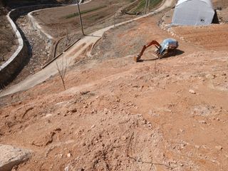 유근승님의 기타작물 · 영농일지 작성글 사진