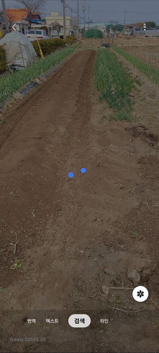 감자7569님의 마늘 · 영농일지 작성글 사진